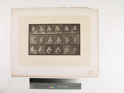 Animal Locomotion. Plate 527.