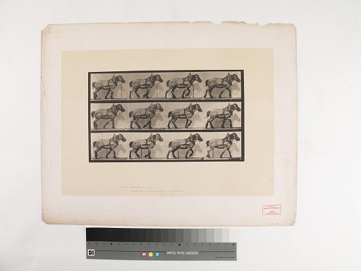 Animal Locomotion. Plate 565.