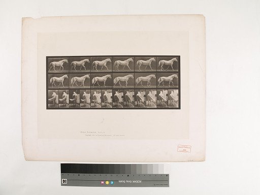Animal Locomotion. Plate 576.