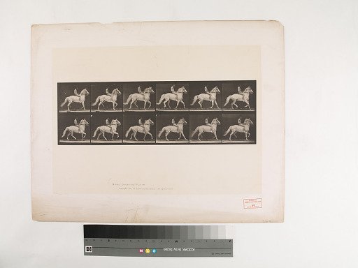 Animal Locomotion. Plate 590.