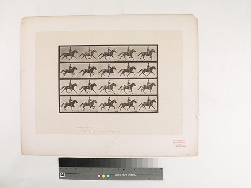 Animal Locomotion. Plate 591.