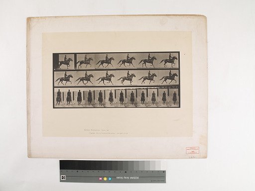 Animal Locomotion. Plate 592.