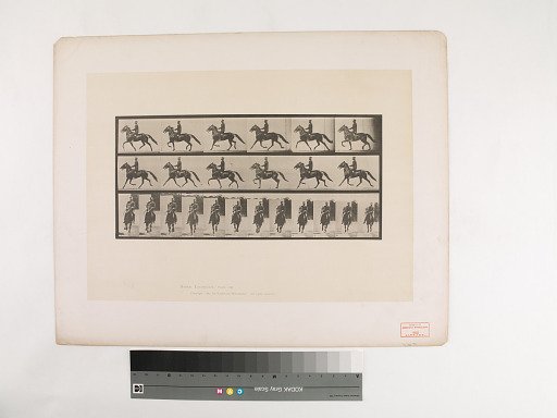 Animal Locomotion. Plate 593.