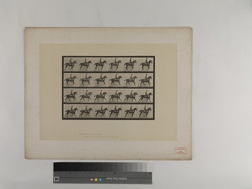 Animal Locomotion. Plate 616.