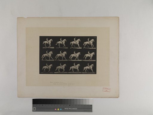 Animal Locomotion. Plate 617.