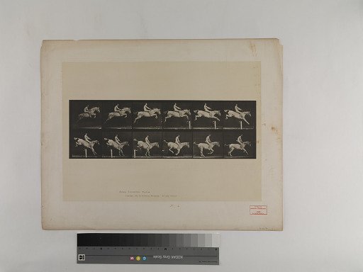 Animal Locomotion. Plate 643.