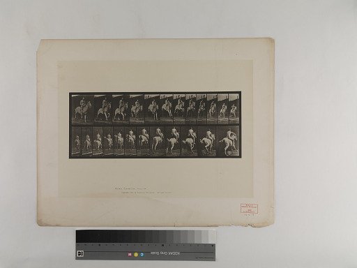 Animal Locomotion. Plate 646.