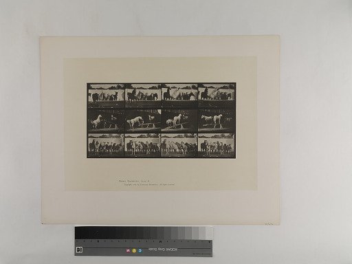 Animal Locomotion. Plate 651.