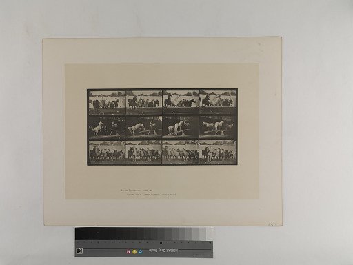 Animal Locomotion. Plate 651.