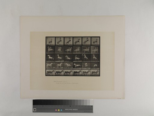 Animal Locomotion. Plate 652.