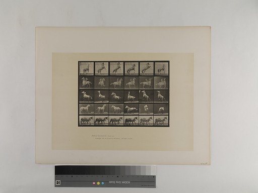 Animal Locomotion. Plate 652.