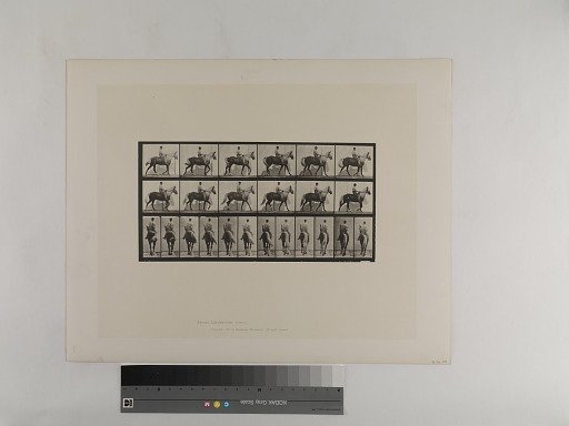 Animal Locomotion. Plate 653.