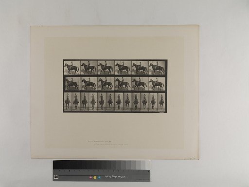 Animal Locomotion. Plate 654.