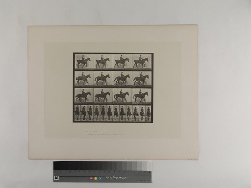 Animal Locomotion. Plate 655.