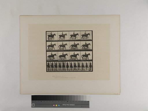 Animal Locomotion. Plate 655.