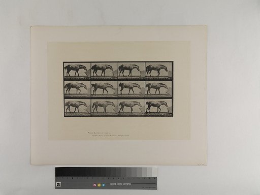 Animal Locomotion. Plate 657.