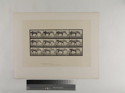 Animal Locomotion. Plate 657.