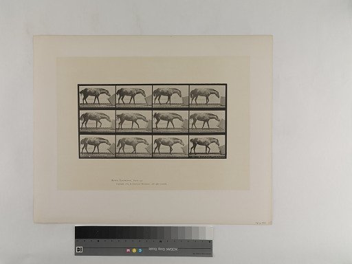 Animal Locomotion. Plate 657.
