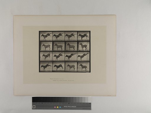Animal Locomotion. Plate 658.