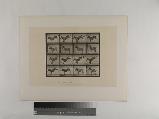 Animal Locomotion. Plate 658.
