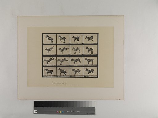 Animal Locomotion. Plate 659.