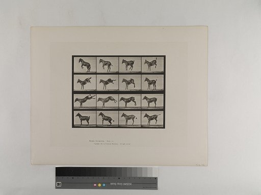 Animal Locomotion. Plate 659.