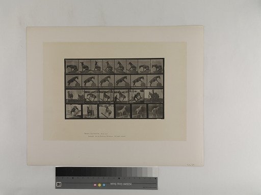 Animal Locomotion. Plate 660.