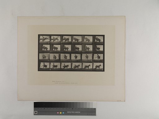 Animal Locomotion. Plate 661.