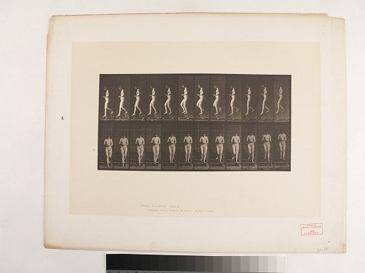 Animal Locomotion. Plate 128.