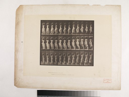 "Animal Locomotion. Plate 146."; Female, Descending stairs turning water jar on left shoulder