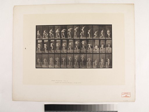 "Animal Locomotion. Plate 171."; Female, Stepping up on a trestle; jumping down, turning