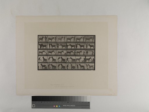 Animal Locomotion. Plate 664.