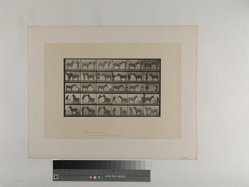 Animal Locomotion. Plate 662.