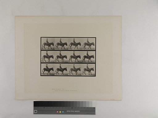 Animal Locomotion. Plate 664.