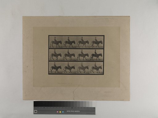 Animal Locomotion. Plate 665.