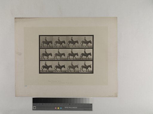 Animal Locomotion. Plate 665.