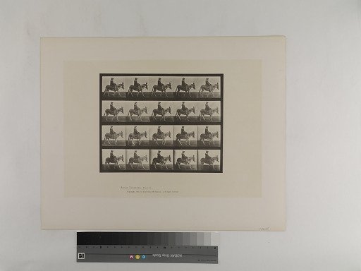 Animal Locomotion. Plate 666.