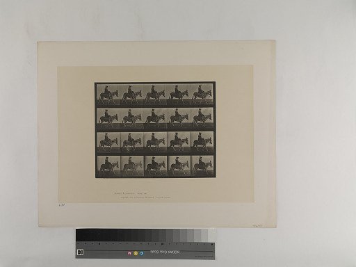 Animal Locomotion. Plate 666.