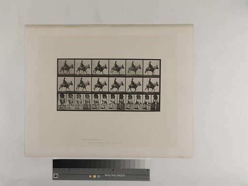 Animal Locomotion. Plate 667.