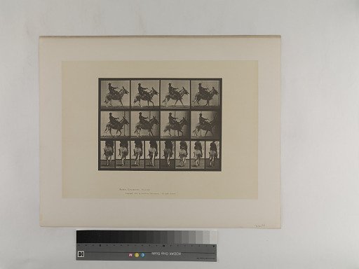 Animal Locomotion. Plate 668.