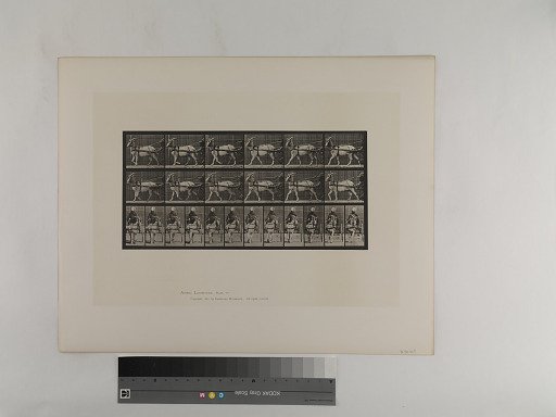 Animal Locomotion. Plate 678.