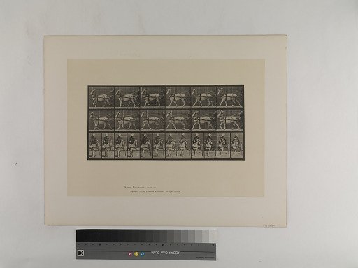 Animal Locomotion. Plate 677.