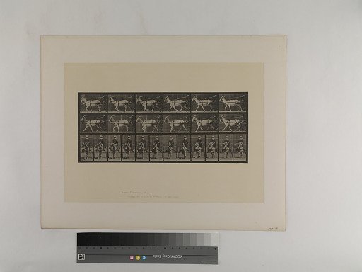 Animal Locomotion. Plate 678.