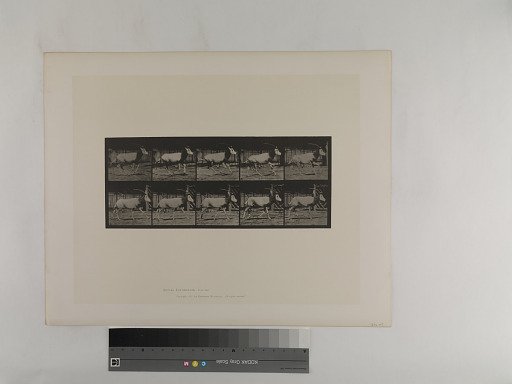 Animal Locomotion. Plate 680.