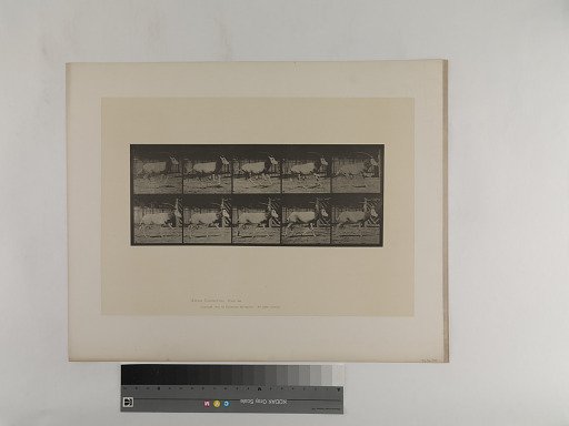 Animal Locomotion. Plate 680.
