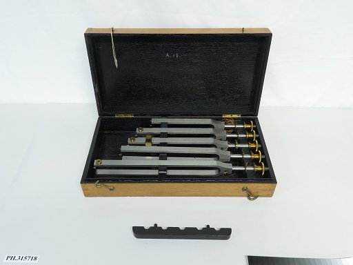 Tuning Forks