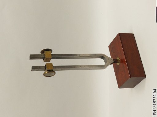 Adjustable Tuning Fork