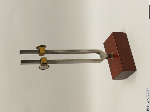 Adjustable Tuning Fork