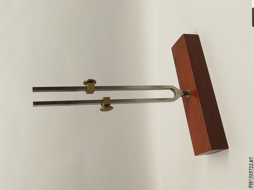 Adjustable Tuning Fork