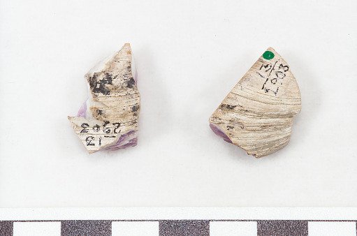 Shell